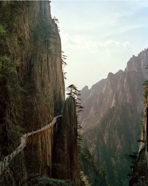 Cliff Path